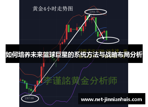 如何培养未来篮球巨星的系统方法与战略布局分析