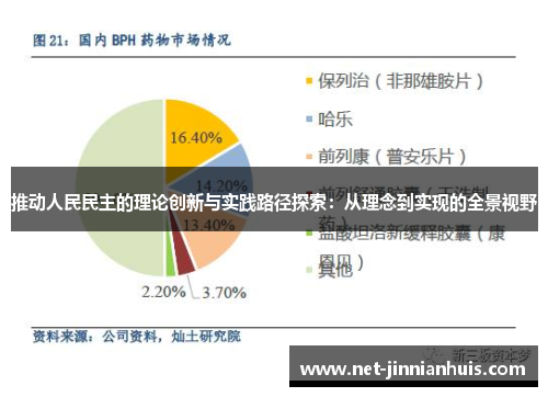 推动人民民主的理论创新与实践路径探索：从理念到实现的全景视野