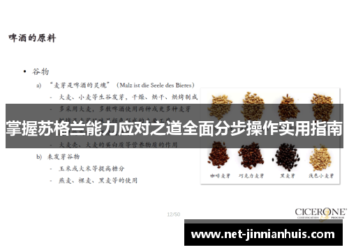 掌握苏格兰能力应对之道全面分步操作实用指南